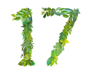 The shape of the number 17 is made of various kinds of leaves isolated on transparent background. suitable for birthday, anniversary and memorial day templates