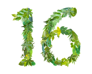 The shape of the number 16 is made of various kinds of leaves isolated on transparent background. suitable for birthday, anniversary and memorial day templates