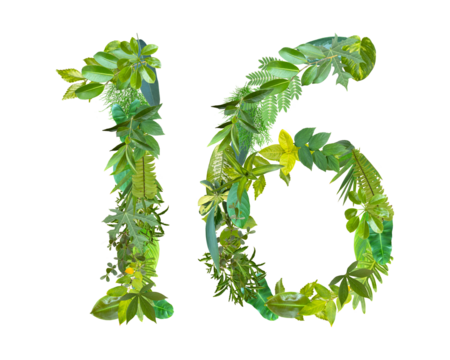 The shape of the number 16 is made of various kinds of leaves isolated on transparent background. suitable for birthday, anniversary and memorial day templates