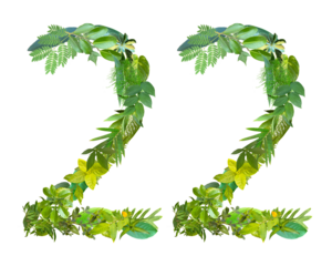 The shape of the number 22 is made of various kinds of leaves isolated on transparent background. suitable for birthday, anniversary and memorial day templates