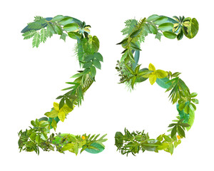 The shape of the number 25 is made of various kinds of leaves isolated on transparent background....