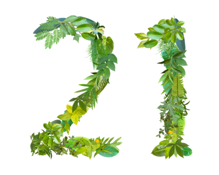 The shape of the number 21 is made of various kinds of leaves isolated on transparent background. suitable for birthday, anniversary and memorial day templates