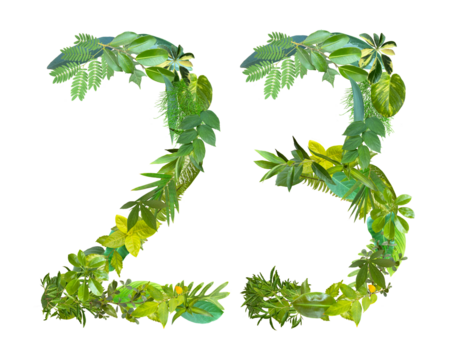 The shape of the number 23 is made of various kinds of leaves isolated on transparent background. suitable for birthday, anniversary and memorial day templates