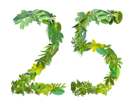 The shape of the number 25 is made of various kinds of leaves isolated on transparent background. suitable for birthday, anniversary and memorial day templates