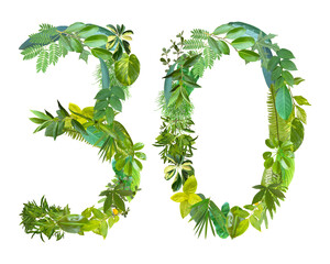 The shape of the number 30 is made of various kinds of leaves isolated on transparent background....