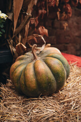 pumpkin on the hay.Halloween Autumn. Pumpkin. Decorative pumpkin. Autumn holiday. Beautiful autumn decor. Pumpkin on a straw mat. 