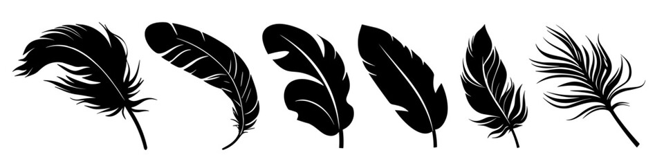 Obraz premium Feather black icon. Feather icons set. Various feathers.