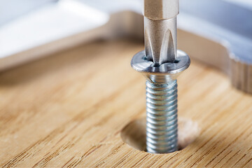 screwdriver screw in a wood oaks plank - obrazy, fototapety, plakaty