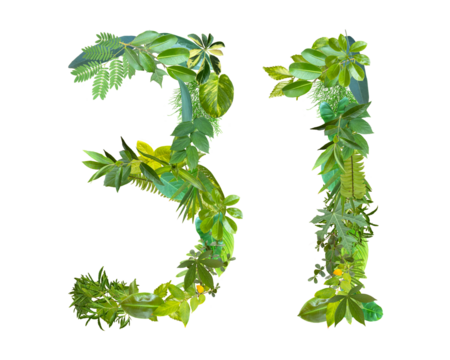 The shape of the number 31 is made of various kinds of leaves isolated on transparent background. suitable for birthday, anniversary and memorial day templates