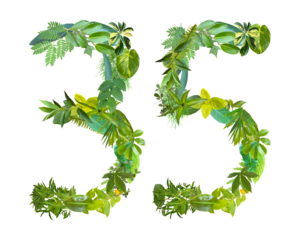 The shape of the number 35 is made of various kinds of leaves isolated on transparent background. suitable for birthday, anniversary and memorial day templates