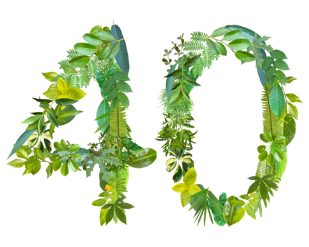 The shape of the number 40 is made of various kinds of leaves isolated on transparent background. suitable for birthday, anniversary and memorial day templates