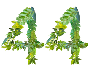 The shape of the number 44 is made of various kinds of leaves isolated on transparent background. suitable for birthday, anniversary and memorial day templates