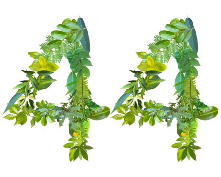 The shape of the number 44 is made of various kinds of leaves isolated on transparent background. suitable for birthday, anniversary and memorial day templates