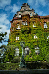 Fototapeta premium Old building completely covered with ivy, ecological house