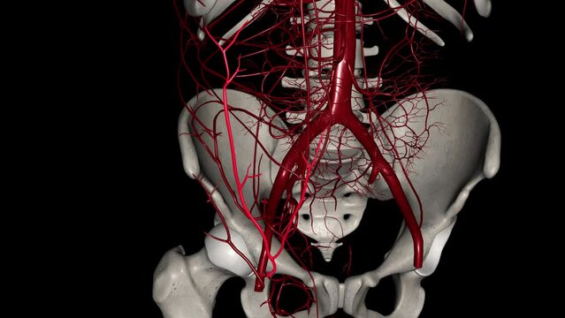 The superficial epigastric artery is a small branch of the femoral artery .