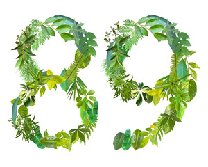 The shape of the number 89 is made of various kinds of leaves isolated on transparent background. suitable for birthday, anniversary and memorial day templates