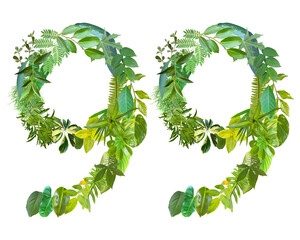 The shape of the number 99 is made of various kinds of leaves isolated on transparent background. suitable for birthday, anniversary and memorial day templates