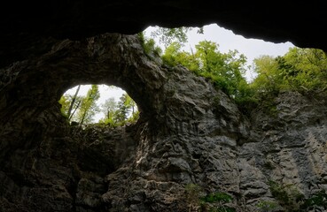 Angled view from inside a cave, looking out towards a lush forest scape of green trees