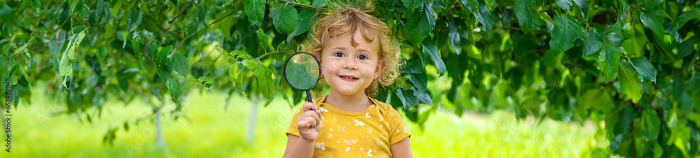 Wall mural a child studies nature with a magnifying glass. selective focus.