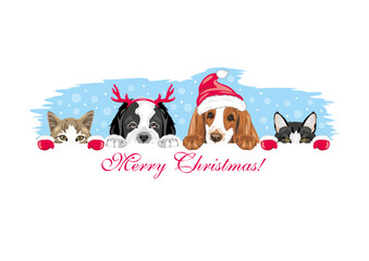 Peeking cute dogs and cats in Christmas accessories