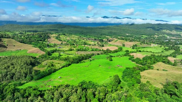 Drone imagery unveils agriculture on elevated terrain, showcasing efficient land use and sustainable practices on hills and plateaus. Agriculture concept. Thailand.
