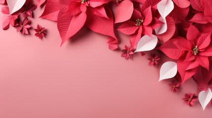 poinsettia flowers with copy space