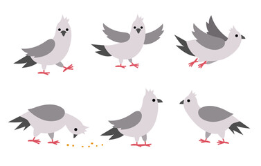 Pigeons set. City bird vector illustration. Cute character icons collection isolated on white background. French symbol picture.