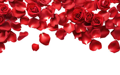 Roses Petals valentine's day on a Clear Surface or PNG Transparent Background.