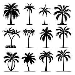 palm tree silhouettes