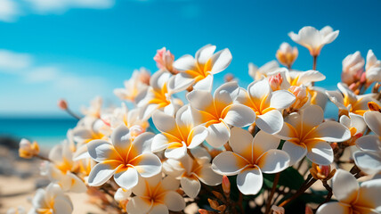 beautiful sea view of white flowers