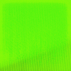 Plain green square background with copy space for text or image, Suitable for Advertisements, Posters, Sale, Banners, Anniversary, Party, Events, Ads and various design works