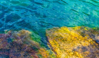 Fototapeta na wymiar Steine und Felsen unter Wasser mit Algen oder Moos bedeckt. Natürlich reflektiertes Sonnenlicht.