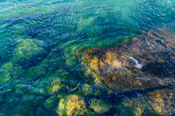 Steine und Felsen unter Wasser mit Algen oder Moos bedeckt. Natürlich reflektiertes Sonnenlicht.