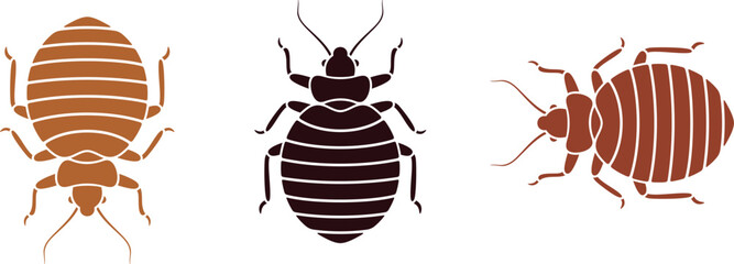 Bedbug logo. Isolated bedbug on white background
