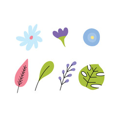 Cartoon Color Floral and Plants Collection Concept Flat Design Style Include of Monstera Leaf and Chamomile. Vector illustration