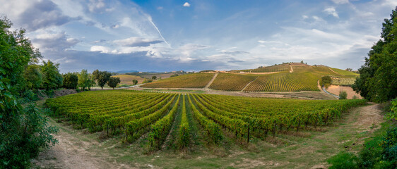 Expansive vineyard landscape under a serene sky, showcasing rows of grapevines, rolling hills, and distant settlements. Nature and agriculture harmoniously blend. - obrazy, fototapety, plakaty