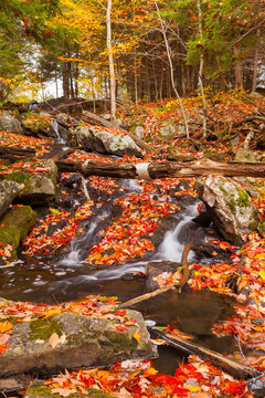 waterfall in autumn forest