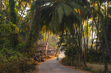 Road in the morning in Goa, Agonda village. Beautiful sunrise in the tropics of India.