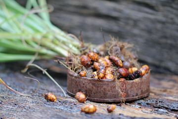 tiger nuts