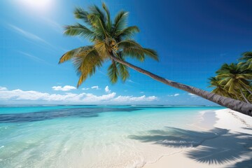 Fototapeta na wymiar A Palm Tree On A Beach