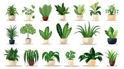 Fototapeta na wymiar Elevate your home decor with our indoor plant showcase, highlighting a diverse houseplant collection with unique shapes and botanical beauty.