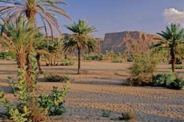 Wadi Hadhramaut