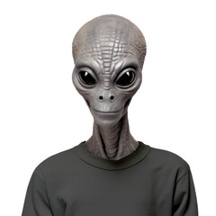 Headshot of an alien being with grey skin and big eyes wearing t-shirt cutout, in the style of ID or passport photo. Generative AI