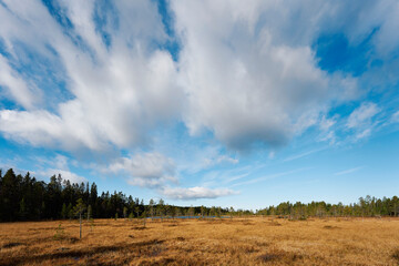 View towards the Synstebytjernet Lake of the Totenaasen Hills, Norway.