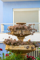 Fountain with plants used as a flower pot
