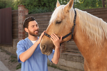 Veterinarian with adorable horse outdoors. Pet care