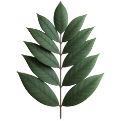 Fototapeta na wymiar Regal Isolated Leaf: A Majestic Emblem, Generative AI