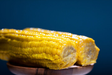 Yellow corn on blue background with space for text