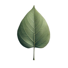 Lush Isolated Leaf: A Verdant Symbol, Generative AI