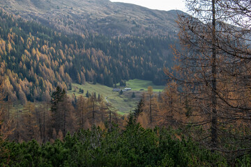 Green Obernberg Lake in Tyrol. Beautiful View of the area of Obernberger See during autumn in Austria.